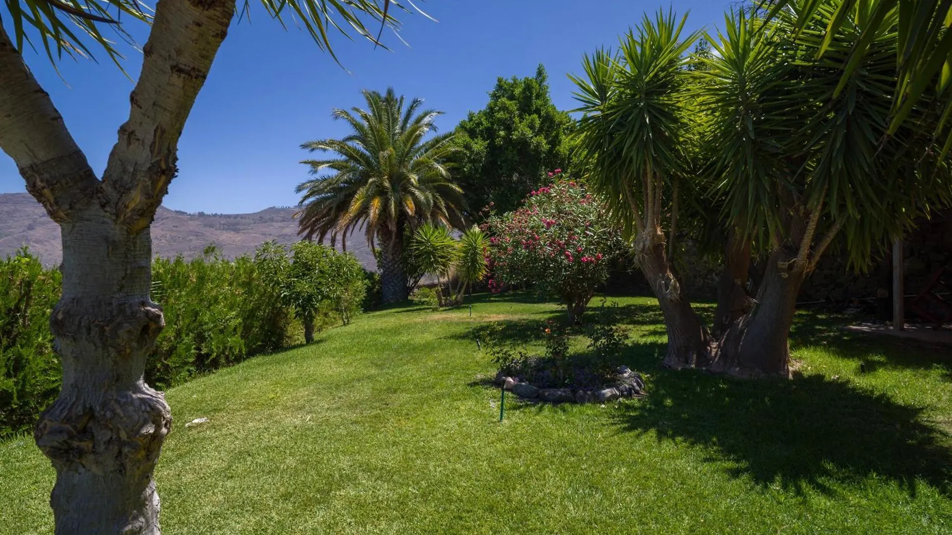 Chalets Rurales Bentayga Tejeda  Tejeda (Gran Canaria)